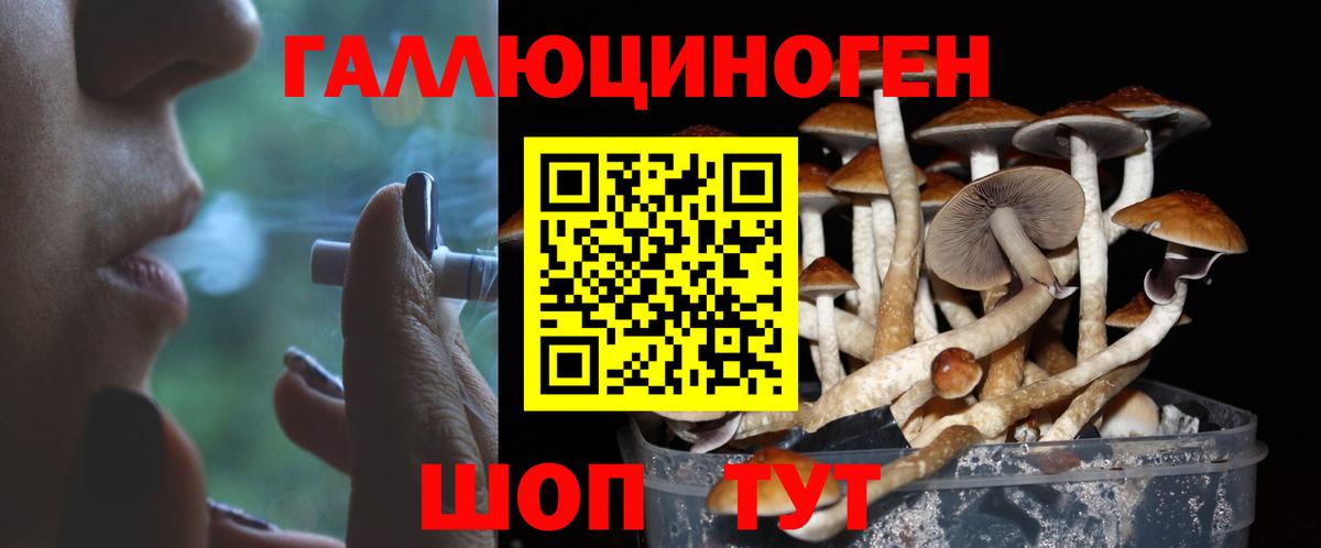 Псилоцибиновые грибы MAGIC MUSHROOMS  Вход с VPN  Лесозаводск  Псилоцибиновые грибы MAGIC MUSHROOMS 